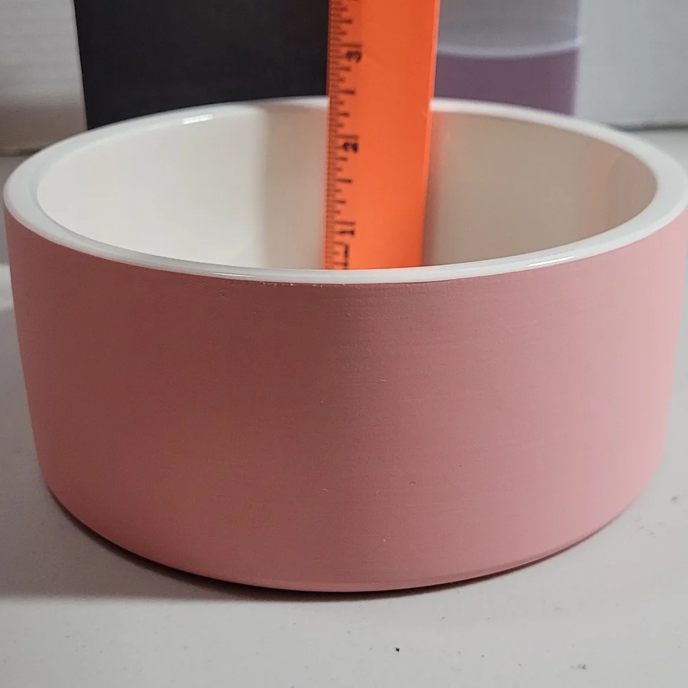 Pet Bowl Pink PAIKKA Medium Ceramic COOL BOWL Keeps Food Cool NEW in Box!